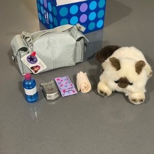 American Girl dance bag and cat for Marisol